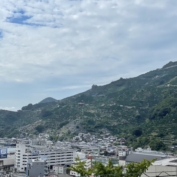 秋晴れです。