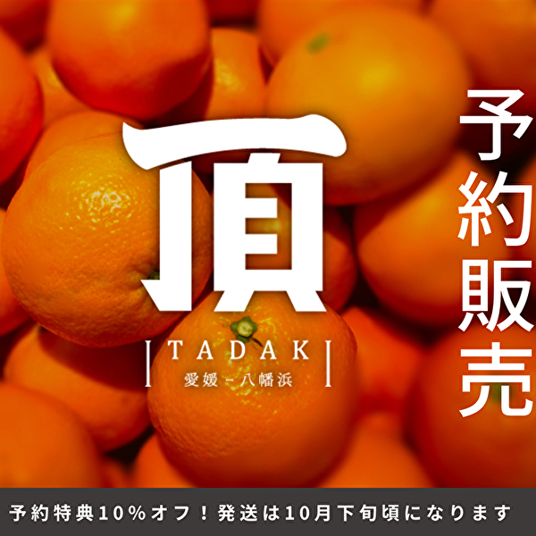 頂みかんの予約を開始いたしました。