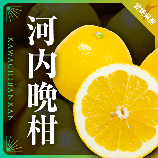 ニューサマーオレンジ&河内晩柑の販売を始めました。